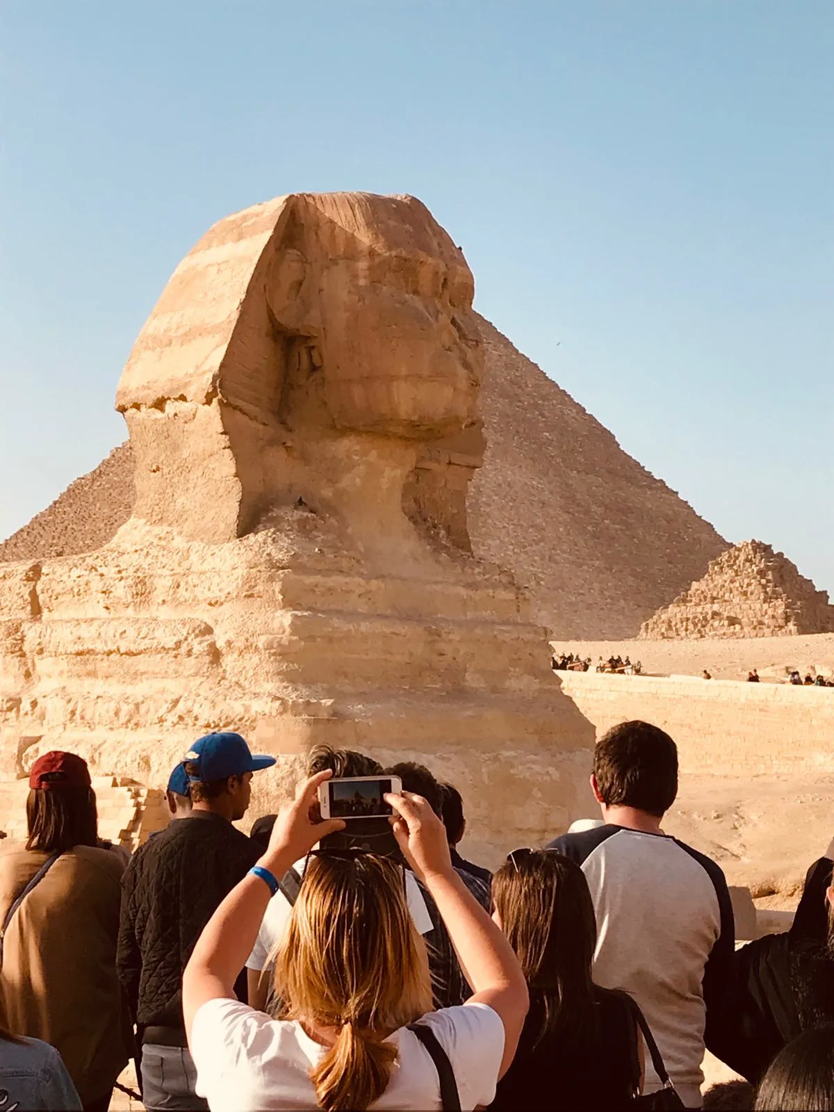 Cairo by Bus + Egyptian Museum, Tahrir — view 4