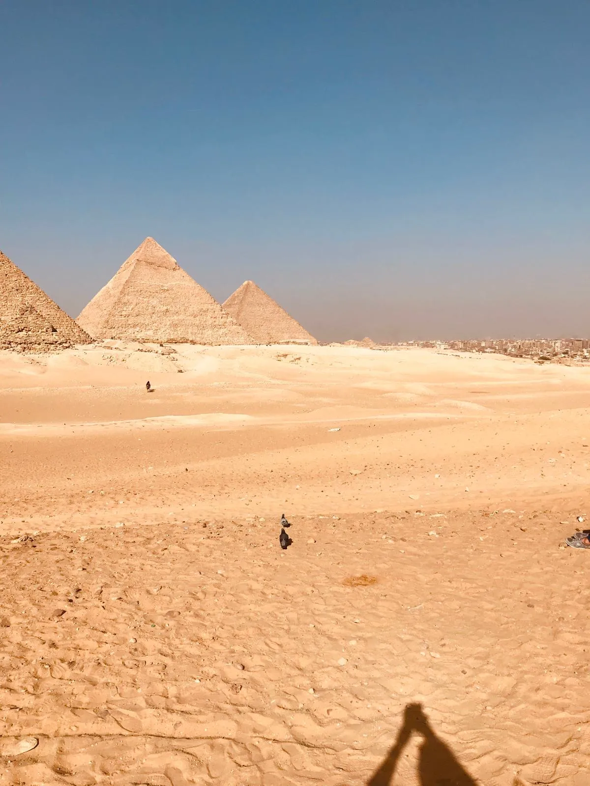 Cairo by Bus + Egyptian Museum, Tahrir — view 5