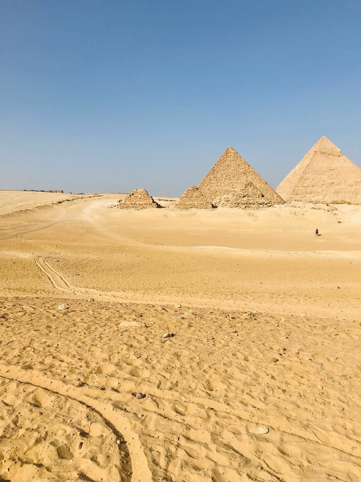 Cairo by Bus + Egyptian Museum, Tahrir — view 6