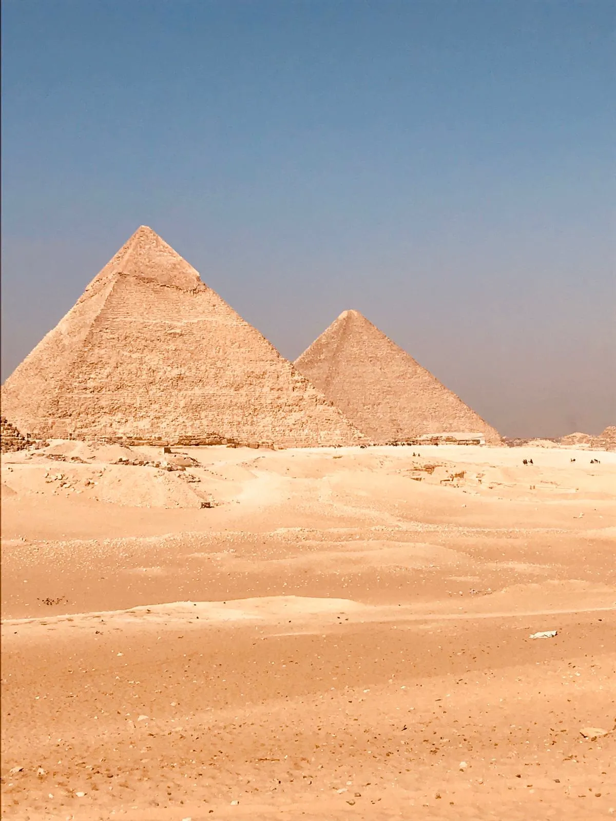 Cairo by Van + Egyptian Museum, Tahrir — view 5