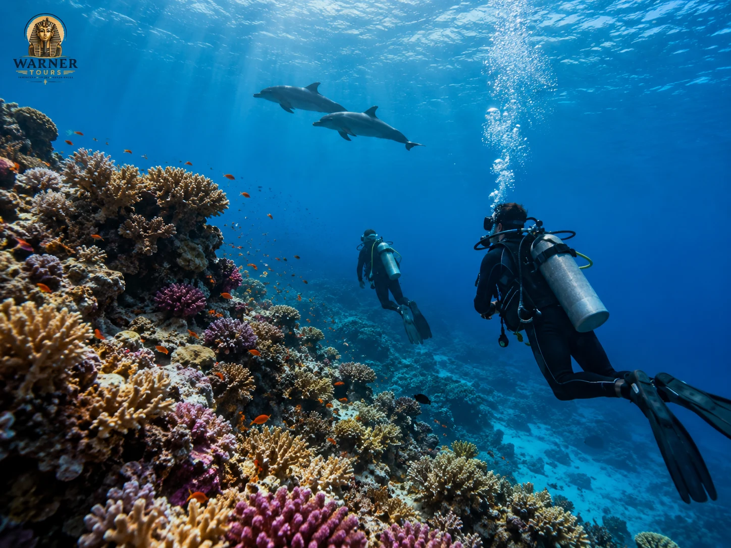 Divemaster Course – 20 Dives — Hurghada & The Red Sea