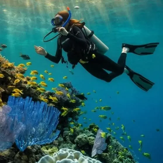 Divemaster Course – 20 Dives — view 4