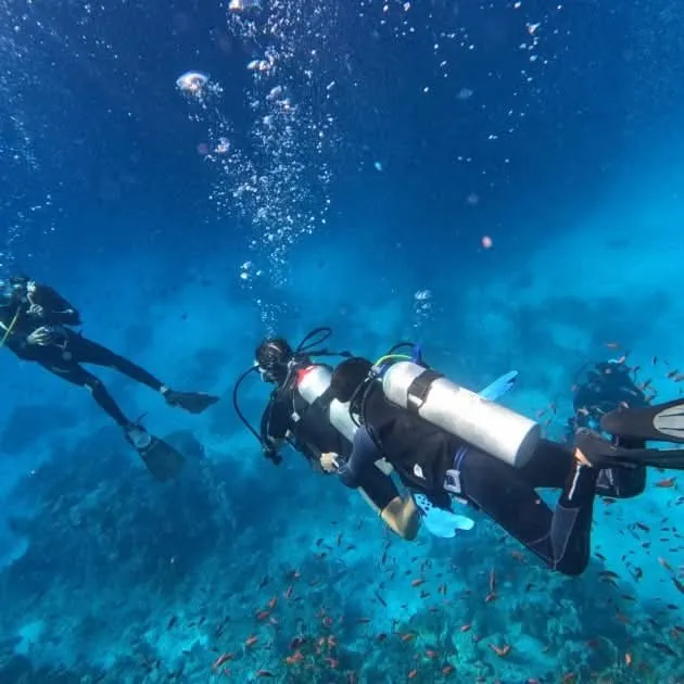 Open Water + Advanced Diving Course — Hurghada & The Red Sea