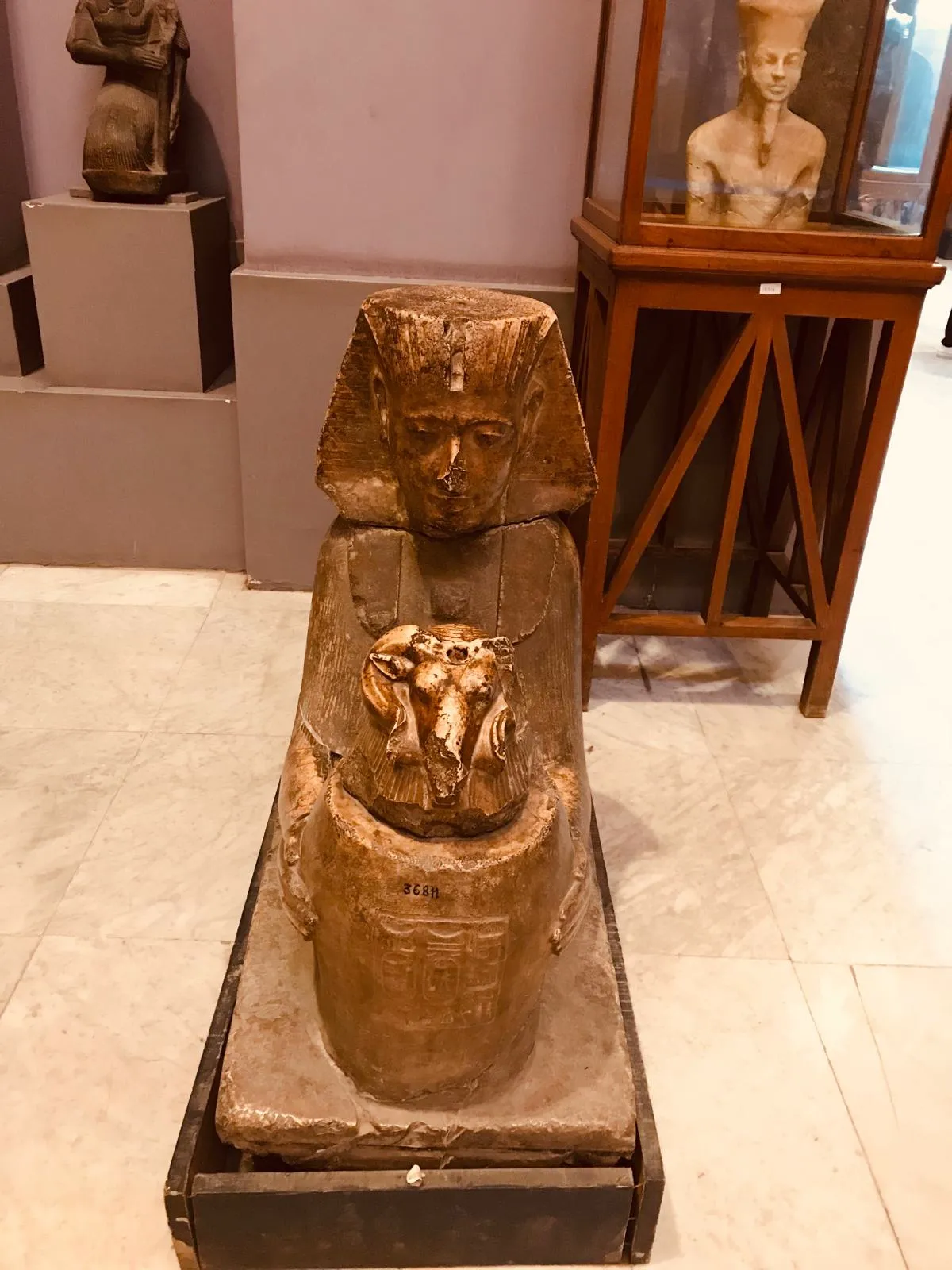 Cairo by Bus + Grand Egyptian Museum — view 5