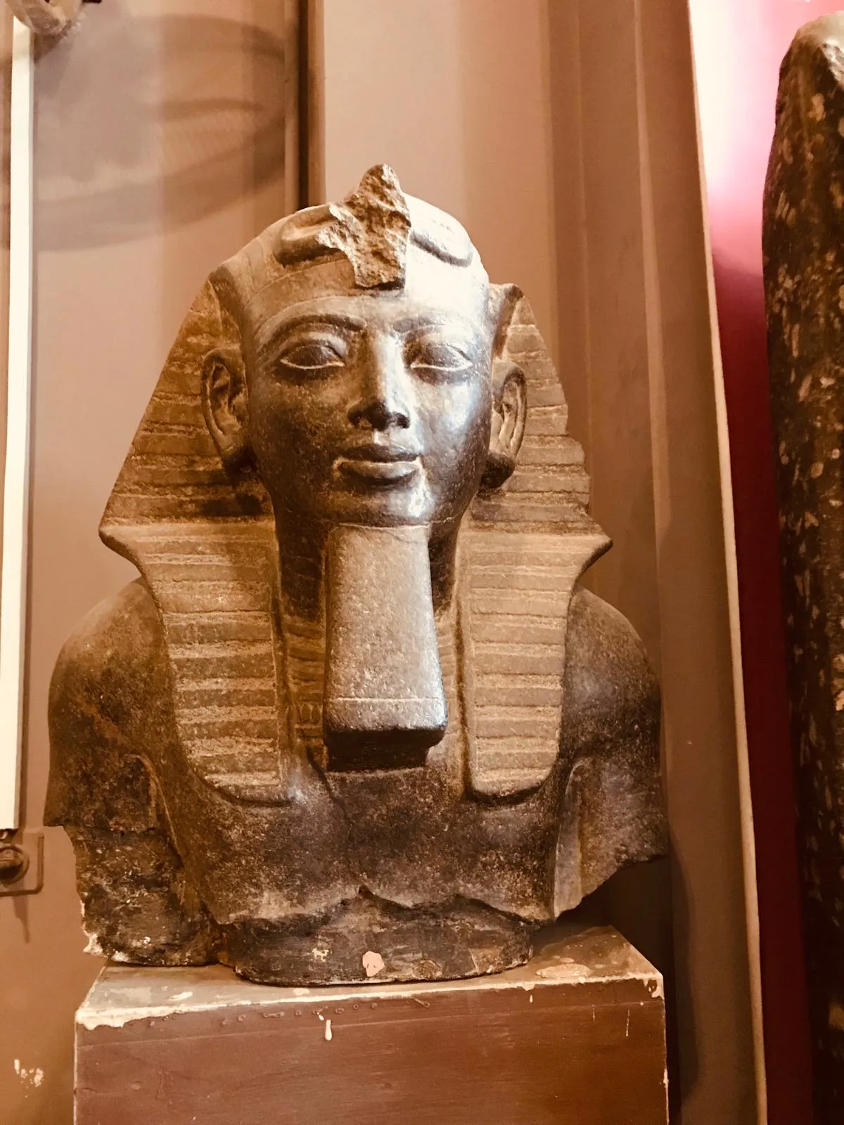 Cairo by Van + Grand Egyptian Museum — view 5
