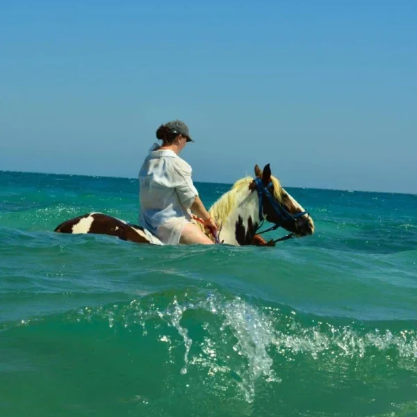 Horse Riding in the Red Sea — Hurghada & The Red Sea