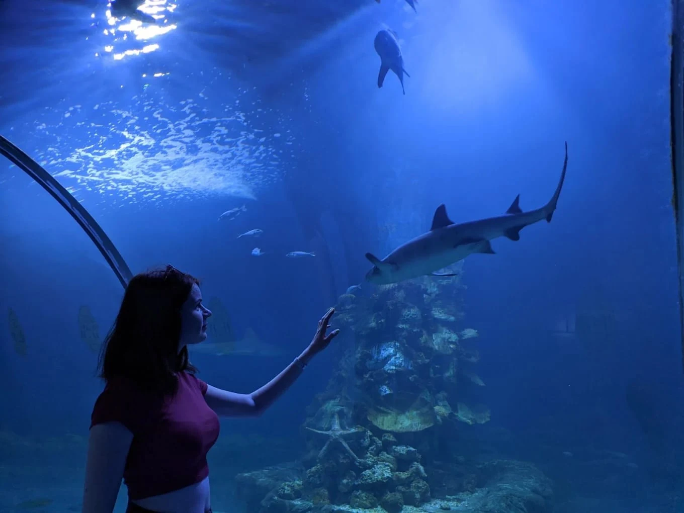 Hurghada Grand Aquarium — view 3