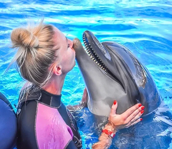 Swim with Dolphins – Hurghada — Hurghada & The Red Sea