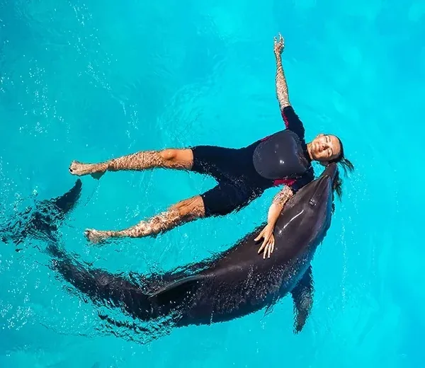 Swim with Dolphins – Hurghada — view 2