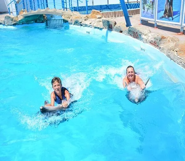 Swim with Dolphins – Hurghada — view 4