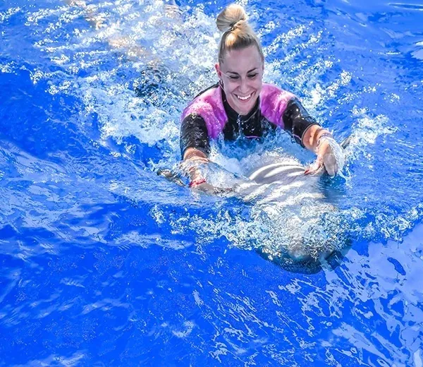 Swim with Dolphins – Hurghada — view 5